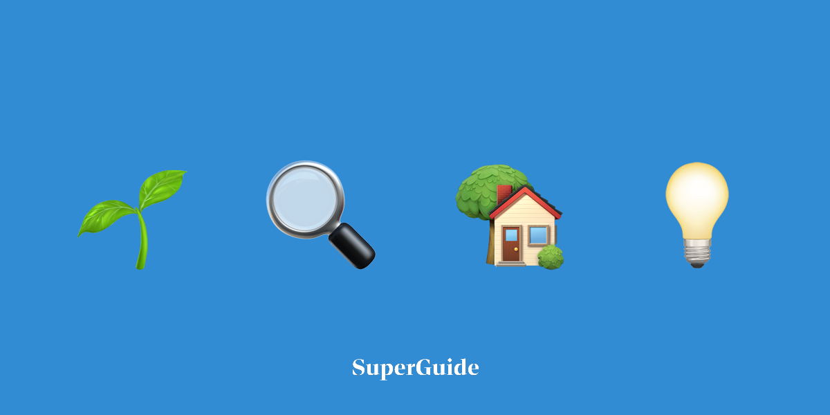 Designing a Garden for All Seasons: A Comprehensive Guide