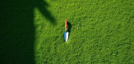 Lawn Care Maintenance Basics: Essential Guide